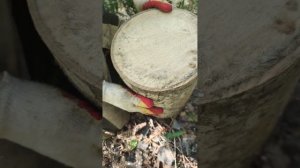 #дранка строй материал у нас под ногами! Как выбрать материал для изготовления дранки