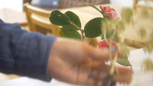 【生け花】いきなり冬⛄とっても華やかな椿✨いつも使っているアレのお花も😲初心者さんも試してみてね🎵 смотреть онлайн