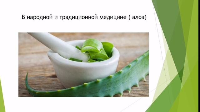 Лекция_КЛАСС ОДНОДОЛЬНЫЕ