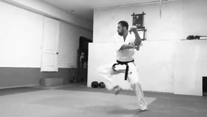 Тэкки соно ичи. Киокусинкай