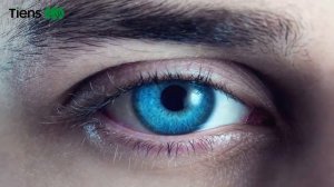 6 Выпуск- Как ультрафиолет влияет на зрение?