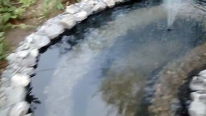 Садовый пруд с фонтаном