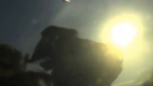 Натаска дратхаара по утке