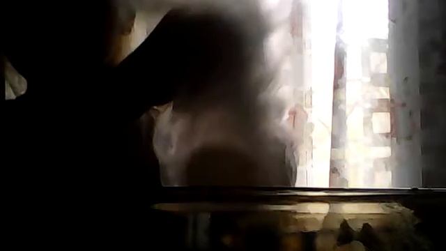 Как делать яичницу в микроволновке за 5 минут смотреть онлайн