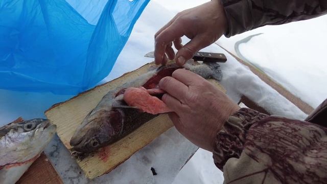 Рыбалка в Тюмени. Фишпарк - территория семейного отдыха. смотреть онлайн