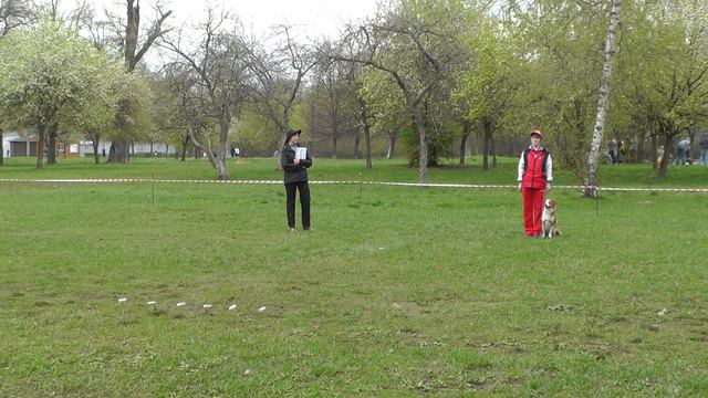 Обидиенс-3. УСКЦ "Останкино" 02.05.2015 г. смотреть онлайн