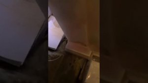 Письмо святому Гавриилу (Ургебадзе)
