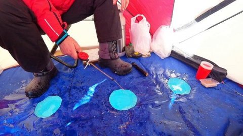 РЫБАЛКА ВОБЛА 2023. Жор воблы в глухозимье?Да запросто!Ловим руками