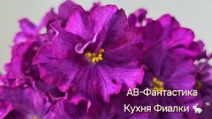 АВ-Фантастика. Кухня Фиалки