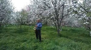 (STUMBLIN)  SAMVEL MURADYAN. SAXOPHONE. (GOLDEN SAX) ՍԱՄՎԵԼ ՄՈՒՐԱԴՅԱՆ. САМВЕЛ. САКСОФОН.