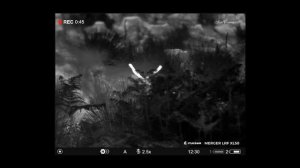 Pulsar Merger LRF XL50 HD Thermal and Telos LRF XP50 - UK Exclusive Field Test
