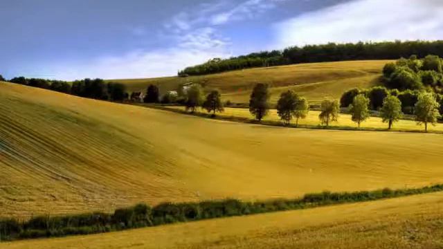 Кайда? meme смотреть онлайн