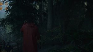 Alan Wake 2 | RTX 3060ti | Intel i5 13500 | 1440p | High Settings