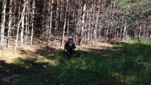 Грибы Урала