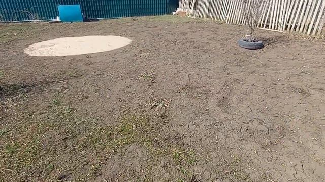 обзор дачи после зимы,дачные хлопоты.#дача #весна #отдых #дачныехлопоты смотреть онлайн