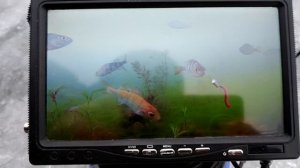 Подводная камера для рыбалки 09.02.2020