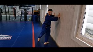 Домашняя тренировка для  детей по дзюдо- HOME BUTT WORKOUT   FOR CHILDREN Judo