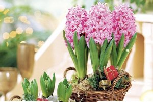 Открытки Добрый День! ☕ Доброго Дня Отличного Настроения!