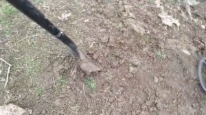 Копаем с металлоискателем Quest-Q40 при любой погоде! Нашёл царское серебро!!!