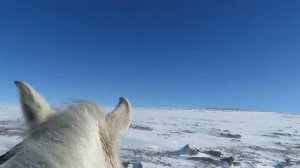 АЛТАЙ (Укок) В поисках снежного барса. Самые южные горы Сибири.