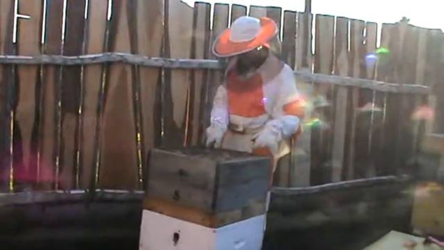 посадка роя смотреть онлайн