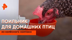 Поилка для домашних птиц из колёсного колпака — Самая народная программа