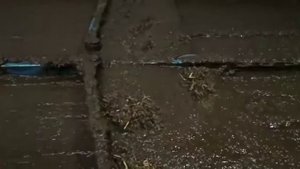 Скрепер удаления навоза на ферме КРС