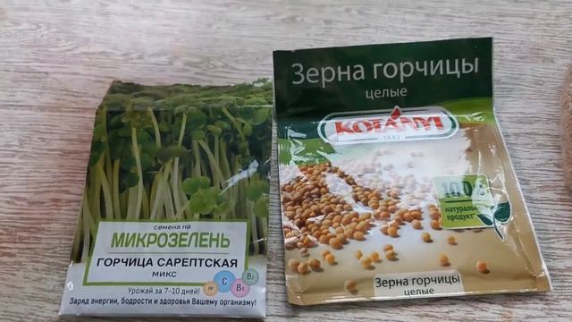 МИКРОЗЕЛЕНЬ ГОРЧИЦА - КАКИЕ СЕМЕНА НУЖНЫ?! РОСТКИ ГОРЧИЦЫ НА МИКРОЗЕЛЕНЬ - КАК СЕЯТЬ ГОРЧИЦУ смотреть онлайн