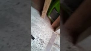 Не выходит внутренний шрус, как я лечил.