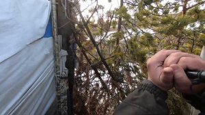 охота на гуся 2020