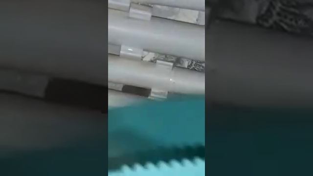 Смешная история " Как Оля с кошкой Масей мышку ловили"!!! Сказка для малышей и их родителей! смотреть онлайн