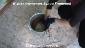 Сбор и подготовка лозы - ивового прута