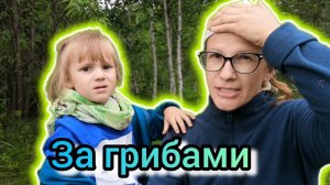 Первые грибы Мира пилит VLOG Почему Плохо Работает Ютуб Дневник молодой мамы.