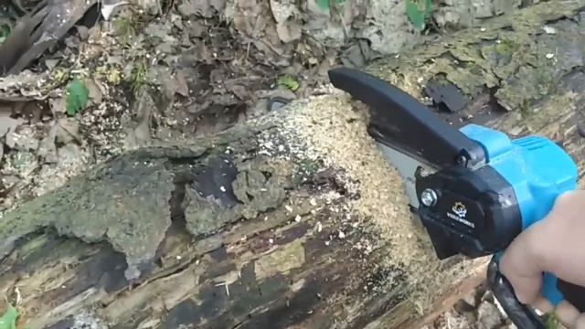 Аккумуляторная мини пила с бесщеточным двигателем и шиной 8 дюймов Обзор и тест 1 смотреть онлайн