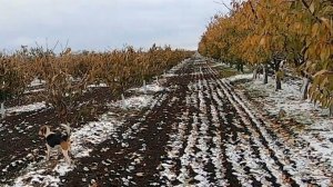 Охота выходного дня или как я провёл выходные! ))