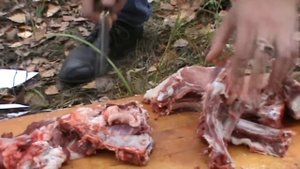 Туристический нож Рысь