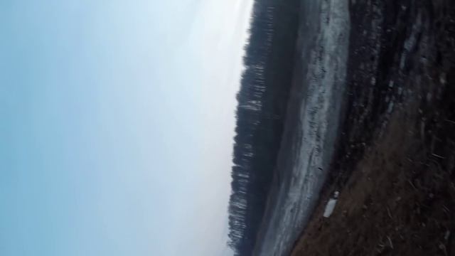 Вытаскиваем Yamaha TTR-250 в Митинском лесу смотреть онлайн