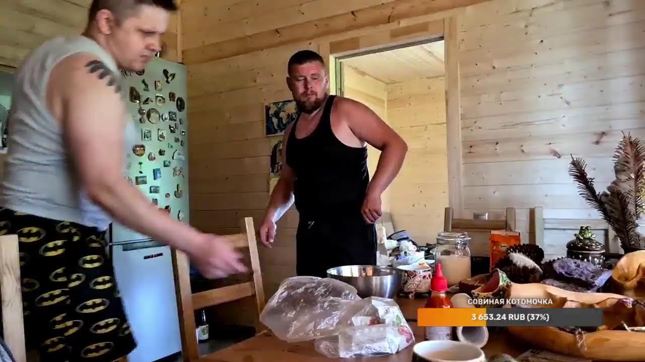 Yoll's добрый Stream из Совиного дола. Упоротые зоологи в гостях