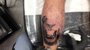 Lion Tattoo -Time Lapse and Real Time , Black and Grey Tattoo ,Realistic Tattoo