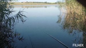 Ловля карася на корвалол! Рыбалка на маховую Удочку!