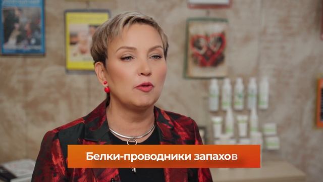 Как наш нос улавливает запахи? | Обоняние – дар находить нужное и различное