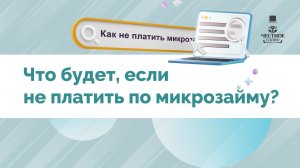 Что будет, если не платить по микрозайму