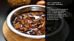 Щи с курицей и лесными грибами . Рецепт от шеф повара Максима Григорьева