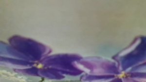 Недотрога(А за окном бушует месяц май и кружит в белом танце)В. Резников)наброски)