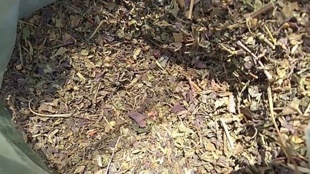 Базилик синий смотреть онлайн