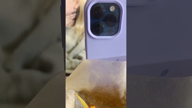 LIVE STREAM😈❤️ смотреть онлайн