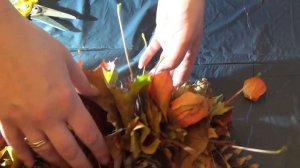 Осенняя гирлянда из листьев