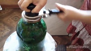 Компот из базилика на зиму