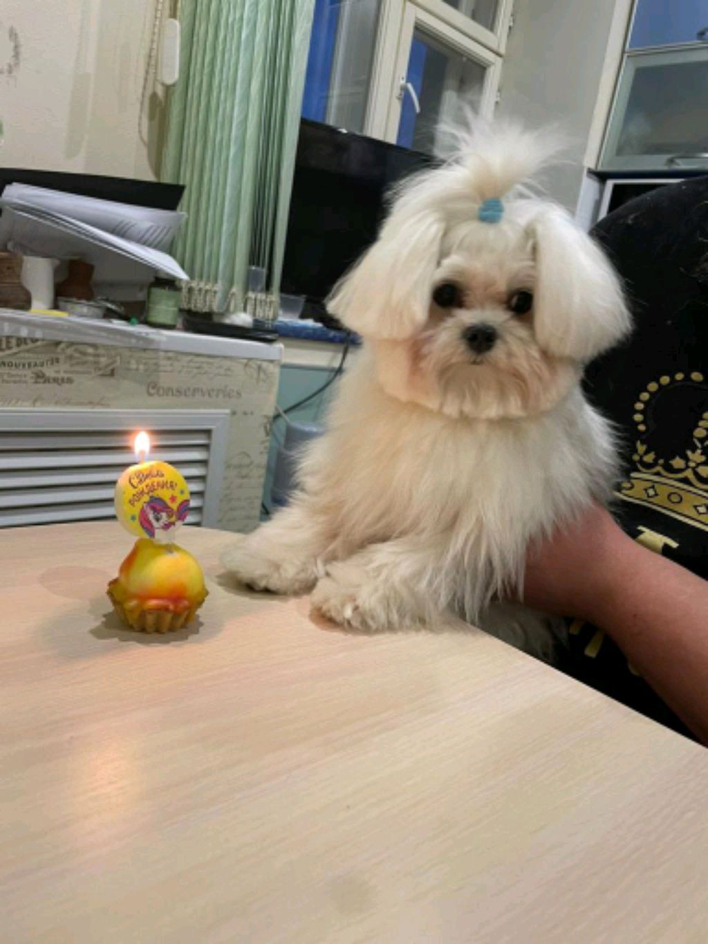 Полина
