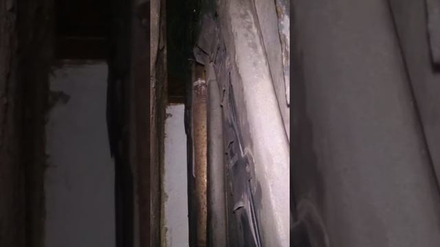 Wydech Magnaflow Xm V6 смотреть онлайн